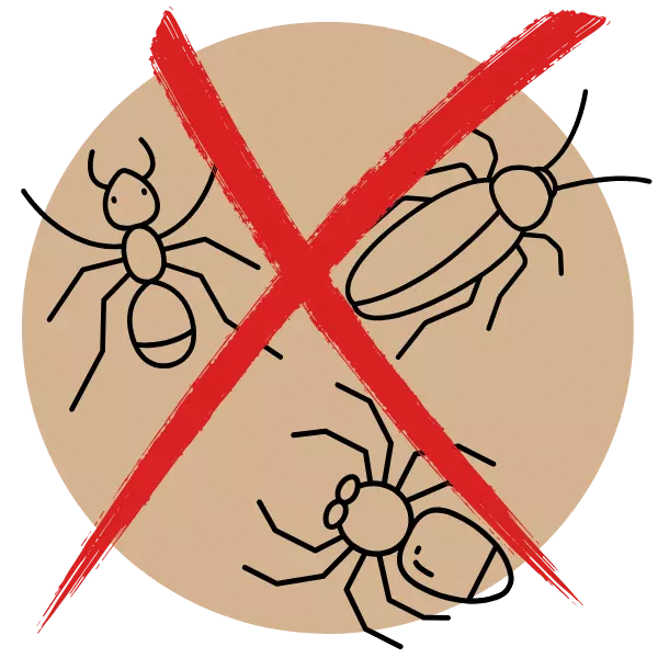 Zapem-General-Pest-Control-Gold-Coast