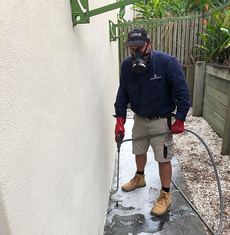 termite inspection gold coast